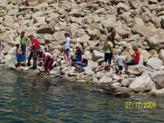 2009 White Family Reunion at Scofield, UT